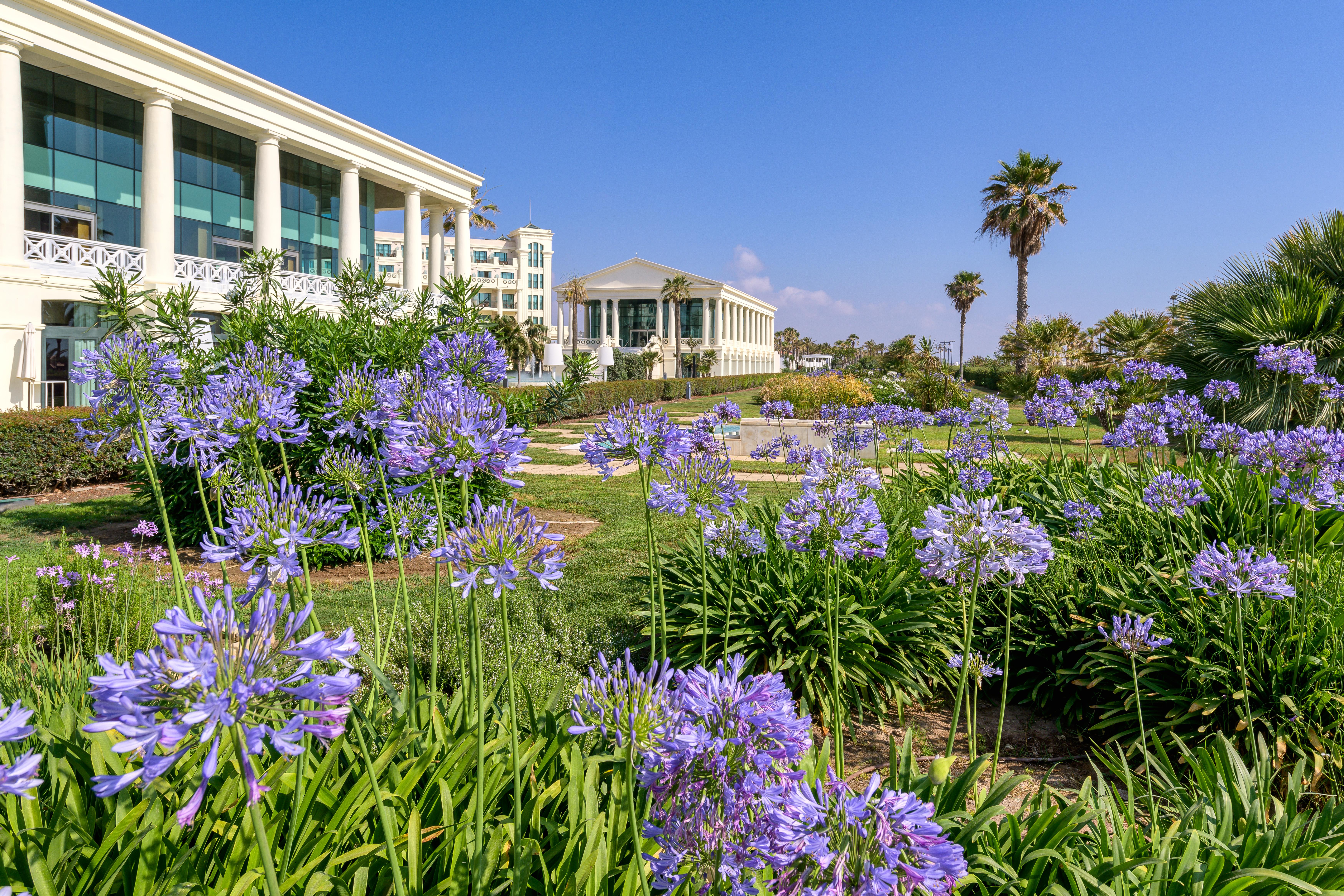 ホテル ラス アレナス バルネアリオ リゾート バレンシア エクステリア 写真 The campus of the University of Cyprus